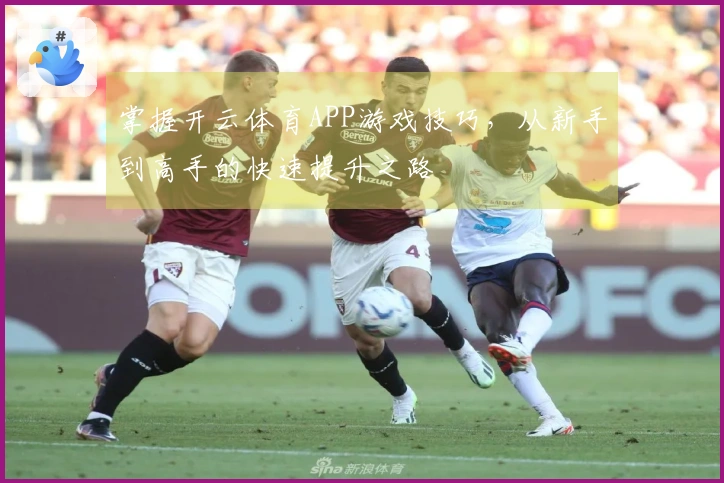 掌握开云体育APP游戏技巧，从新手到高手的快速提升之路