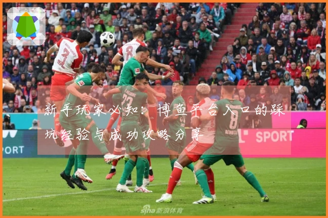 新手玩家必知：博鱼平台入口的踩坑经验与成功攻略分享