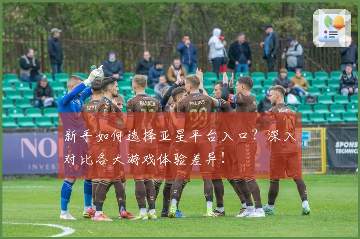新手如何选择亚星平台入口？深入对比各大游戏体验差异！